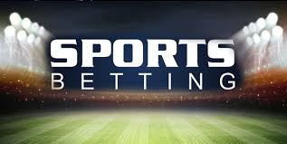 The Rise of Male Bet Transforming the Betting Landscape