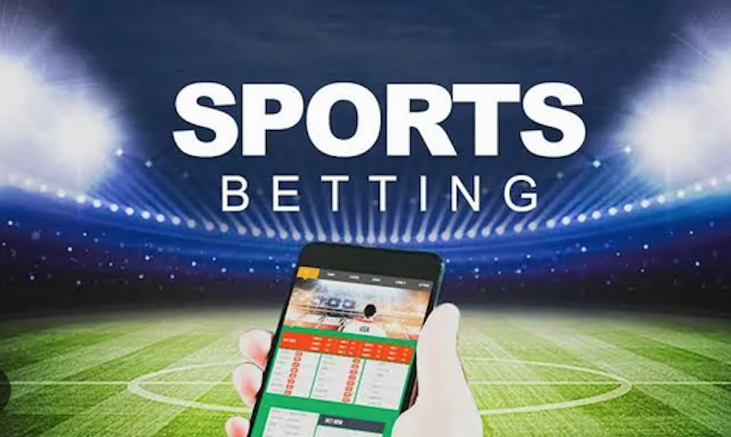 The Ultimate Guide to 555rr Explore, Bet, and Win!