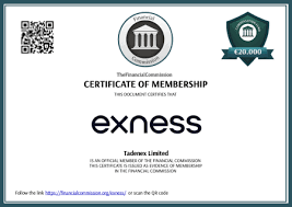 The Significance of Exness Main Office in Global Forex Trading