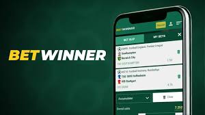 BetWinner Sportsbook Your Gateway to Online Betting