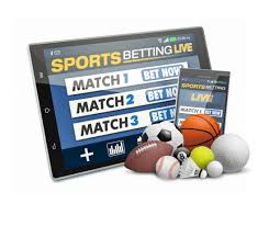 Experience the Thrill of Real Casino Excitement An In-Depth Guide